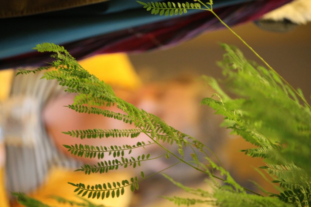 WLH ställer in undervisning